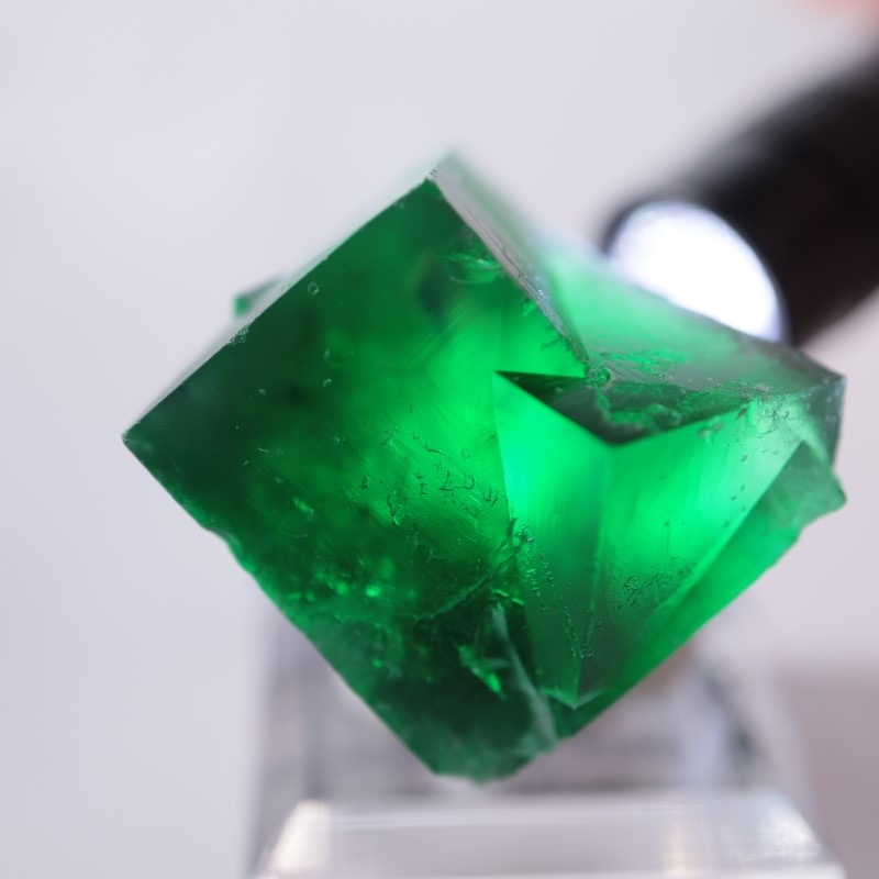 Wolfie Pocket産（ロジャリー鉱山）フローライト | 鉱物標本,ハ行