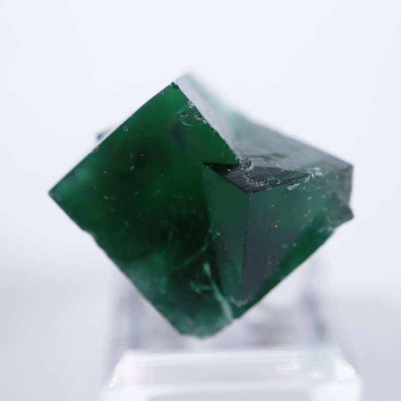 Wolfie Pocket産（ロジャリー鉱山）フローライト | 鉱物標本,ハ行