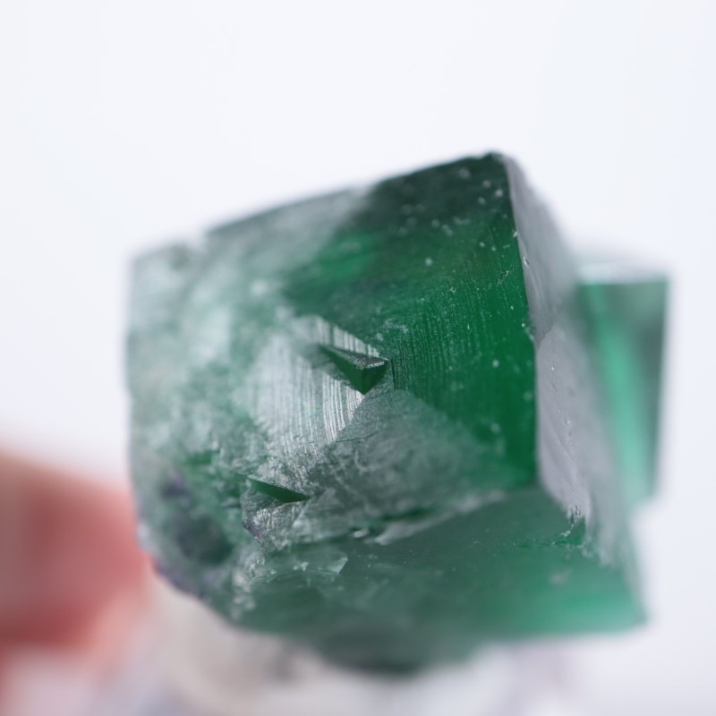 Wolfie Pocket産（ロジャリー鉱山）フローライト | 鉱物標本,ハ行