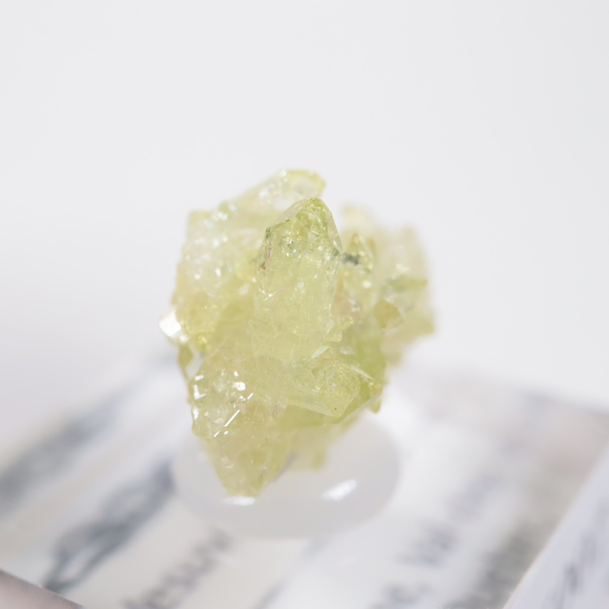 Jeffrey�ۻ��� �٥��ӥ��ʥ���