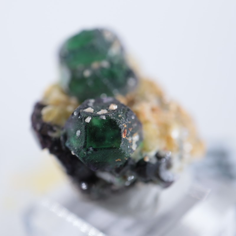 �ʥߥӥ������ե����饤�ȡ�����