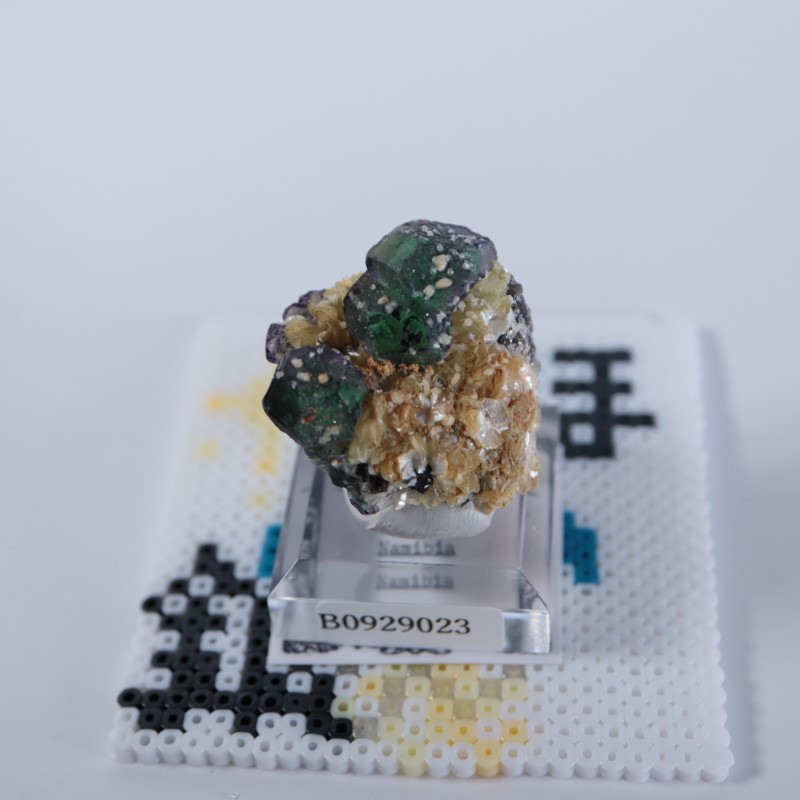 �ʥߥӥ������ե����饤�ȡ�����