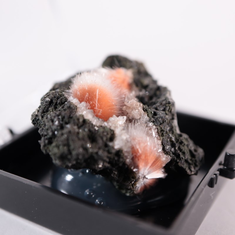 ����ɻ����᥽�饤�ȡ���ʨ�С�