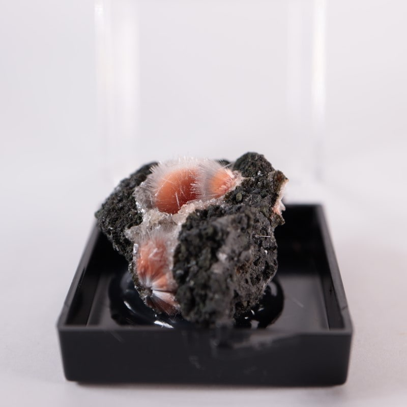 3_000000002903.jpg?1678209904