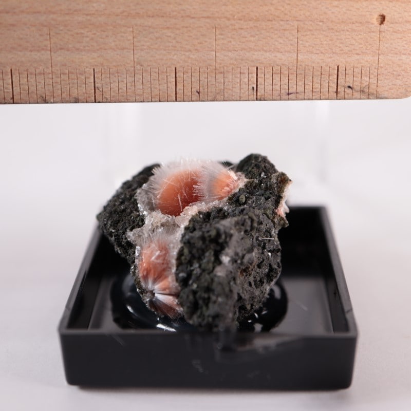 ����ɻ����᥽�饤�ȡ���ʨ�С�