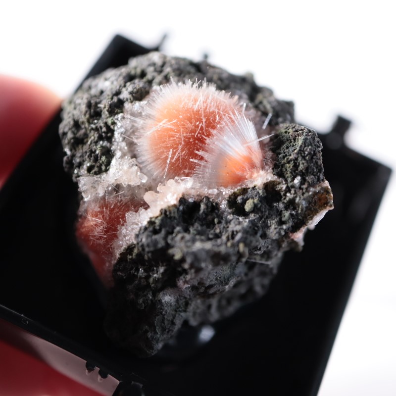 ����ɻ����᥽�饤�ȡ���ʨ�С�