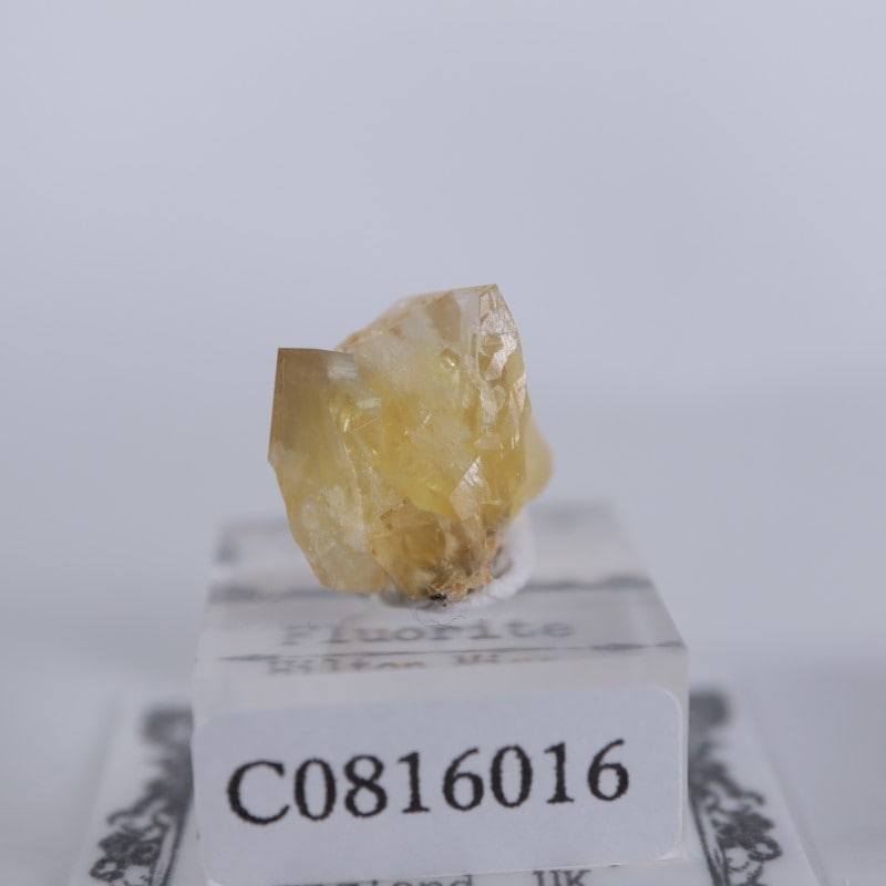 閉山ヒルトン鉱山　フローライト 蛍石　鉱物　鉱物標本 原石 fluorite ヒルトン鉱山 フローライト | 鉱物標本,ハ行,フローライト/蛍石