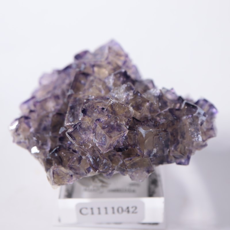 プリマス・ロックの孫みたいな石