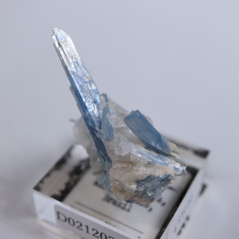 �֥饸�뻺��������ʥ���