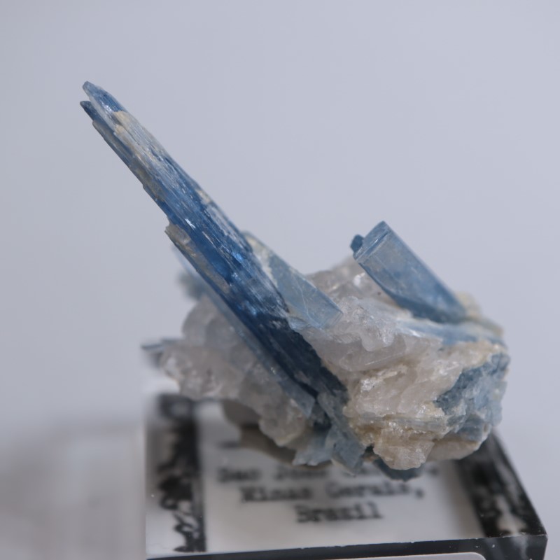 �֥饸�뻺��������ʥ���