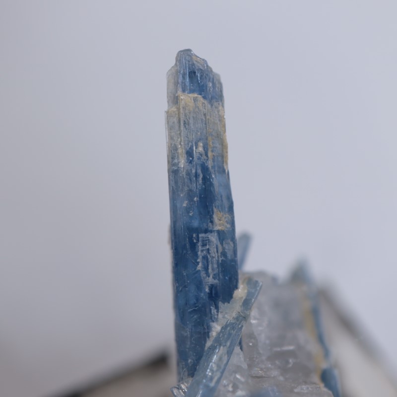 �֥饸�뻺��������ʥ���