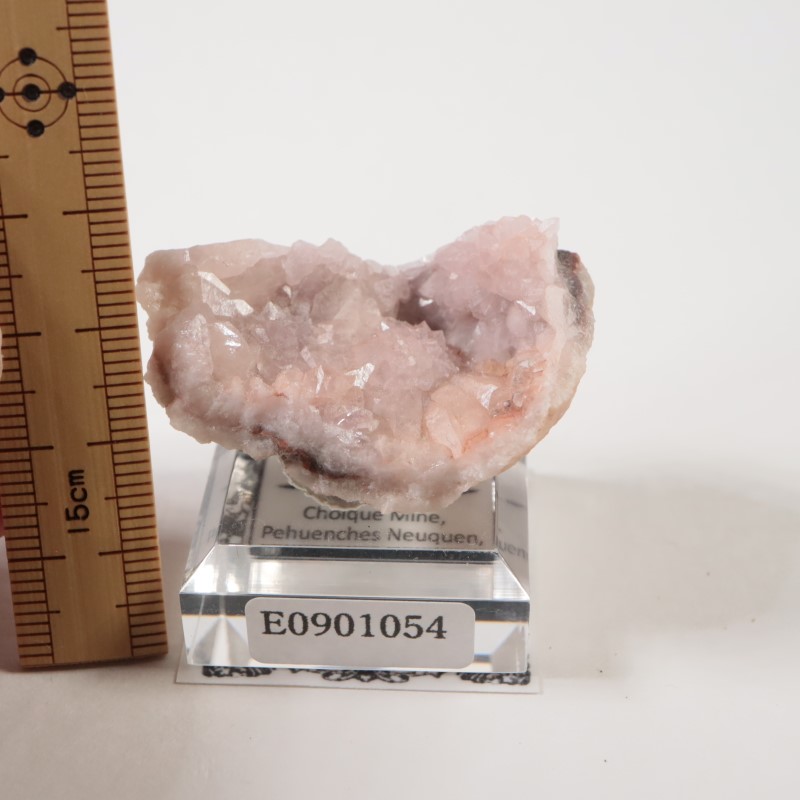 ���를����� �ԥ󥯥�������