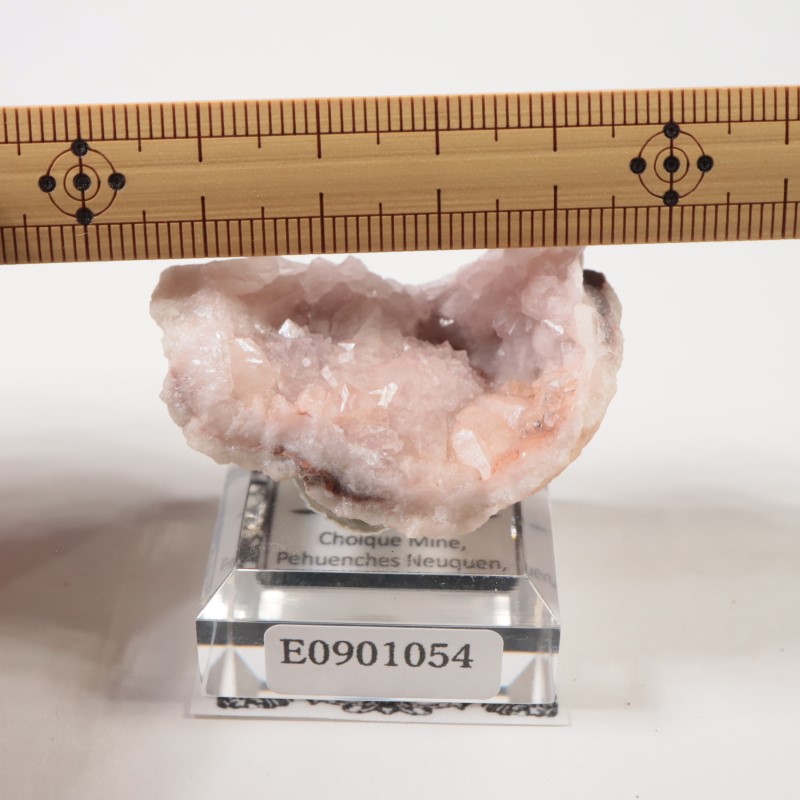 ���를����� �ԥ󥯥�������