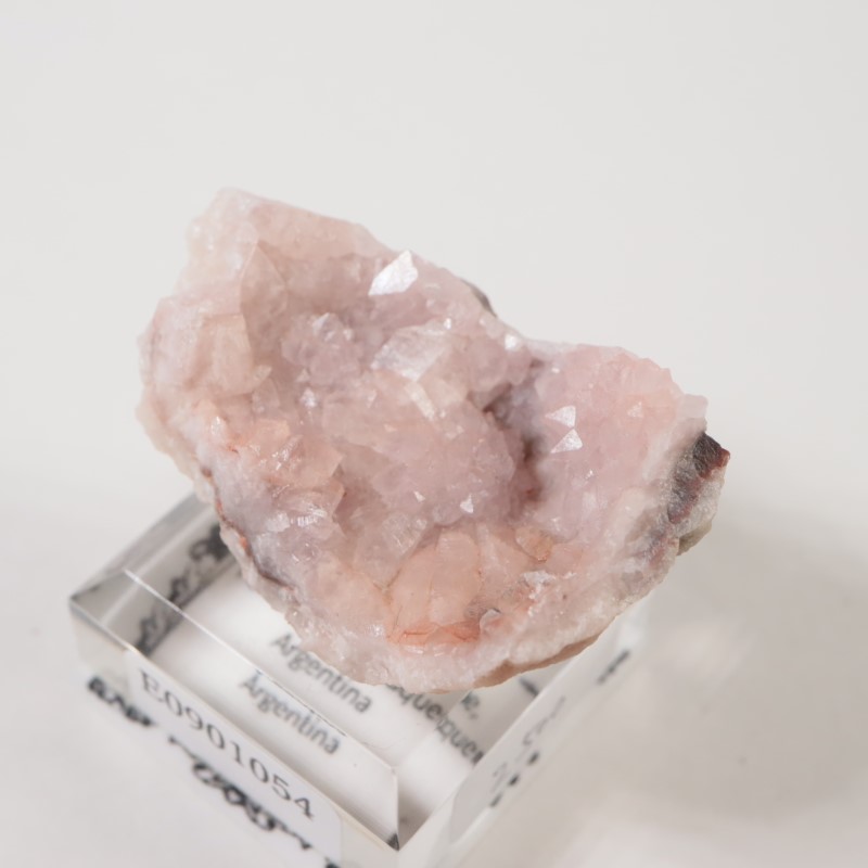 ���를����� �ԥ󥯥�������