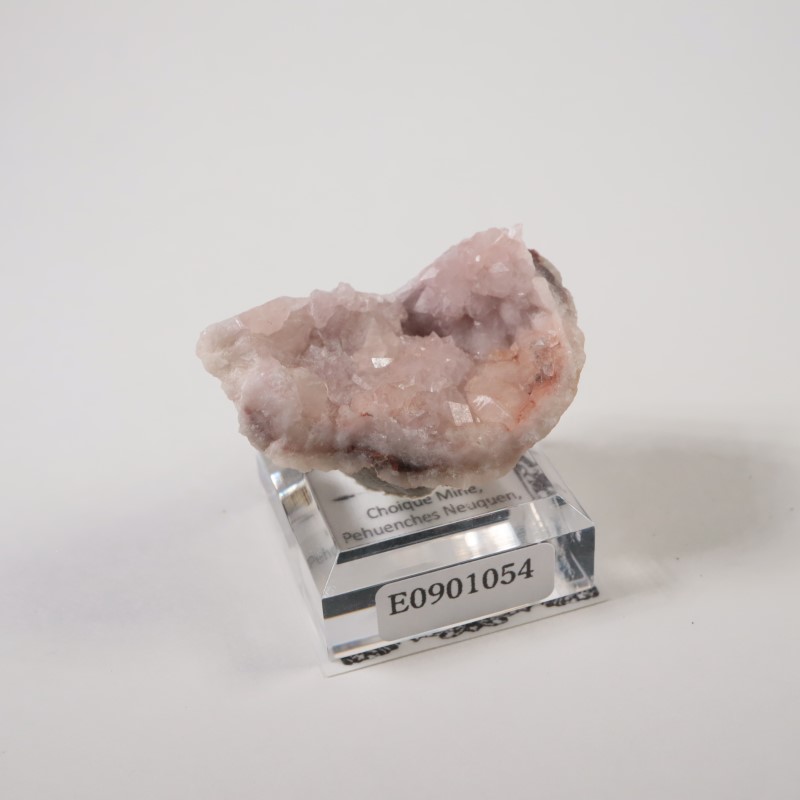 ���를����� �ԥ󥯥�������