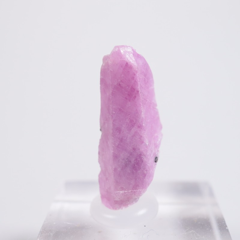 2_000000008603.jpg?1731835195