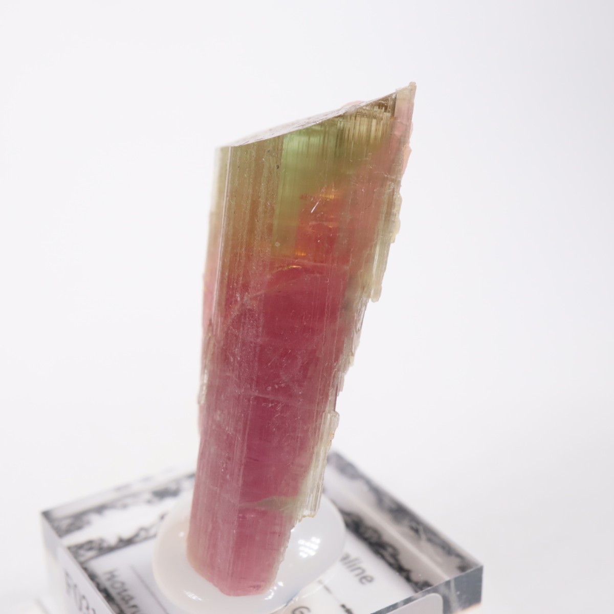 �ҥޥ��ۻ� �ȥ�ޥ��