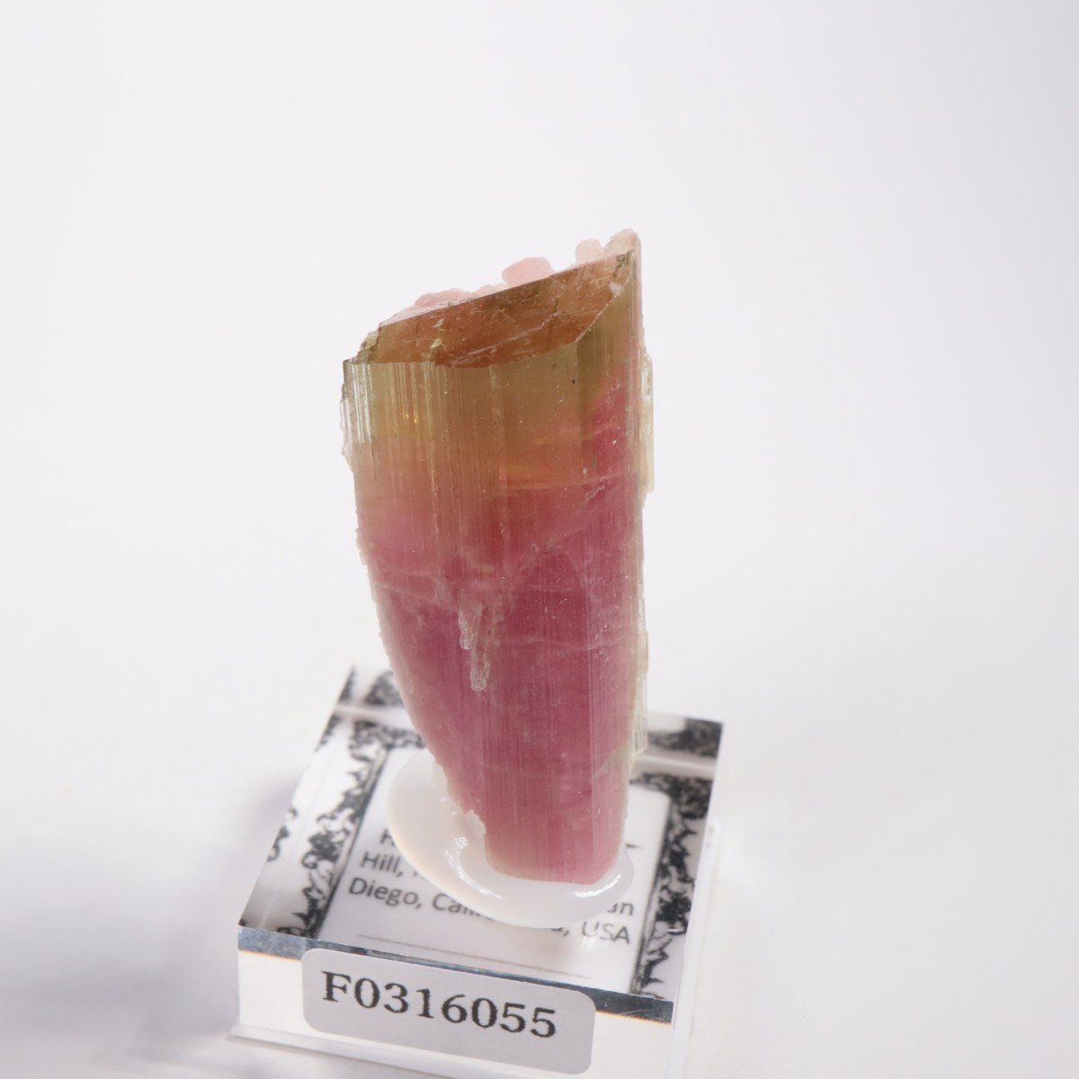 �ҥޥ��ۻ� �ȥ�ޥ��