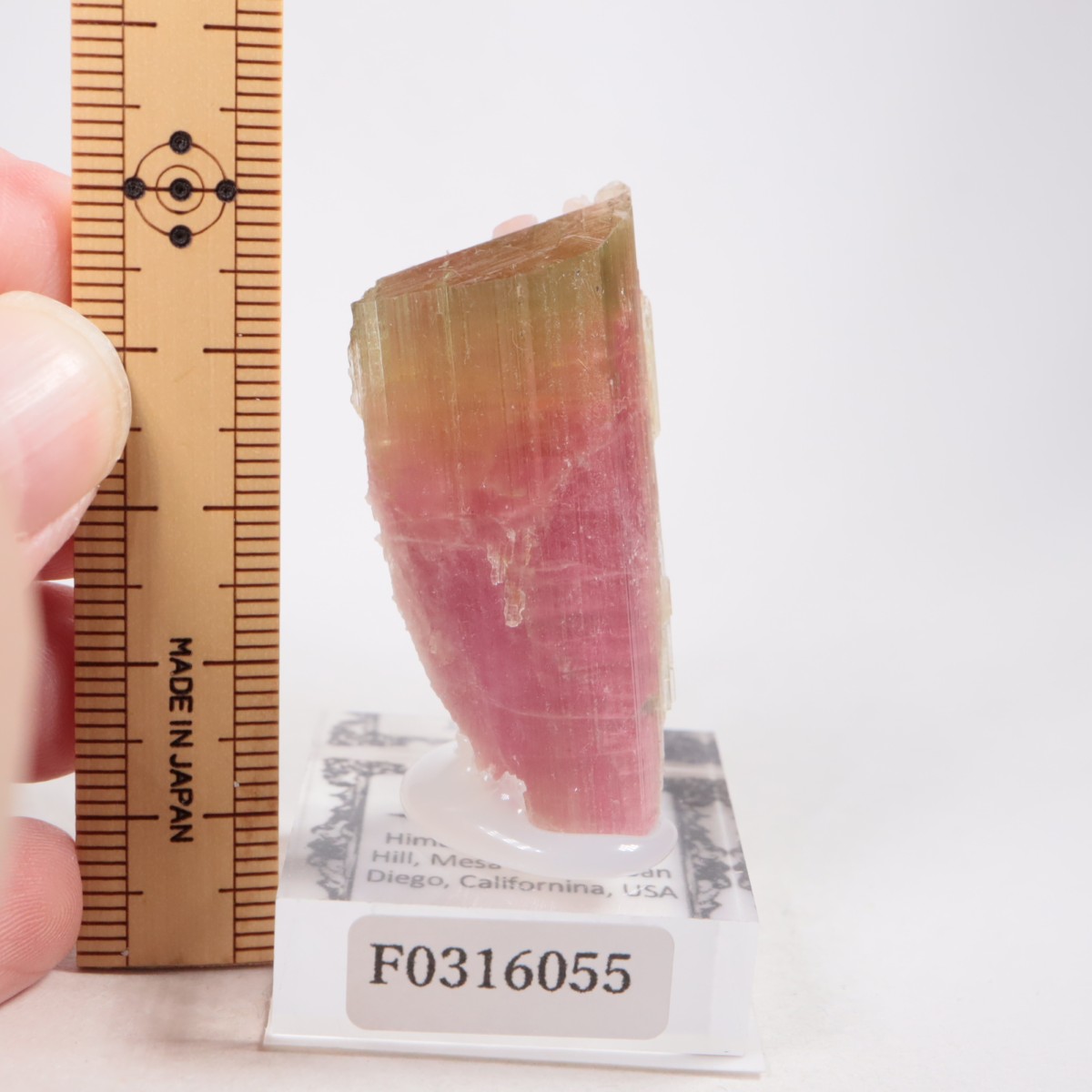 �ҥޥ��ۻ� �ȥ�ޥ��