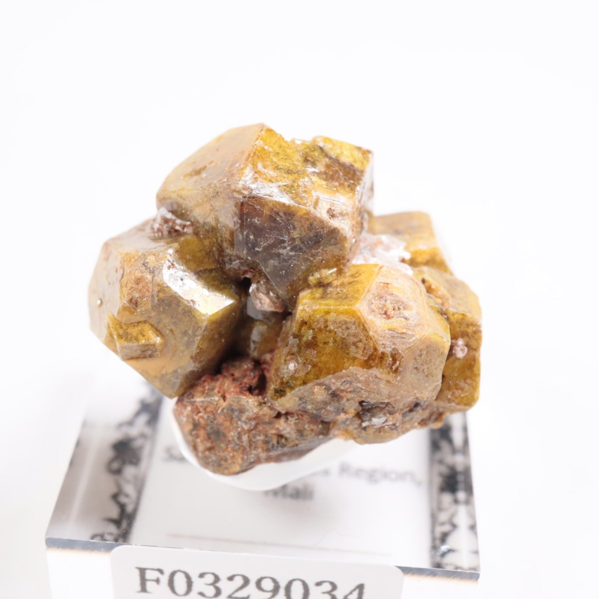 �ޥ껺 �����ͥå�