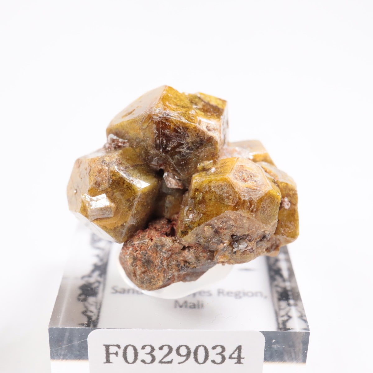 �ޥ껺 �����ͥå�