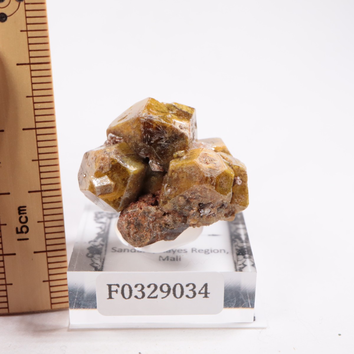 �ޥ껺 �����ͥå�