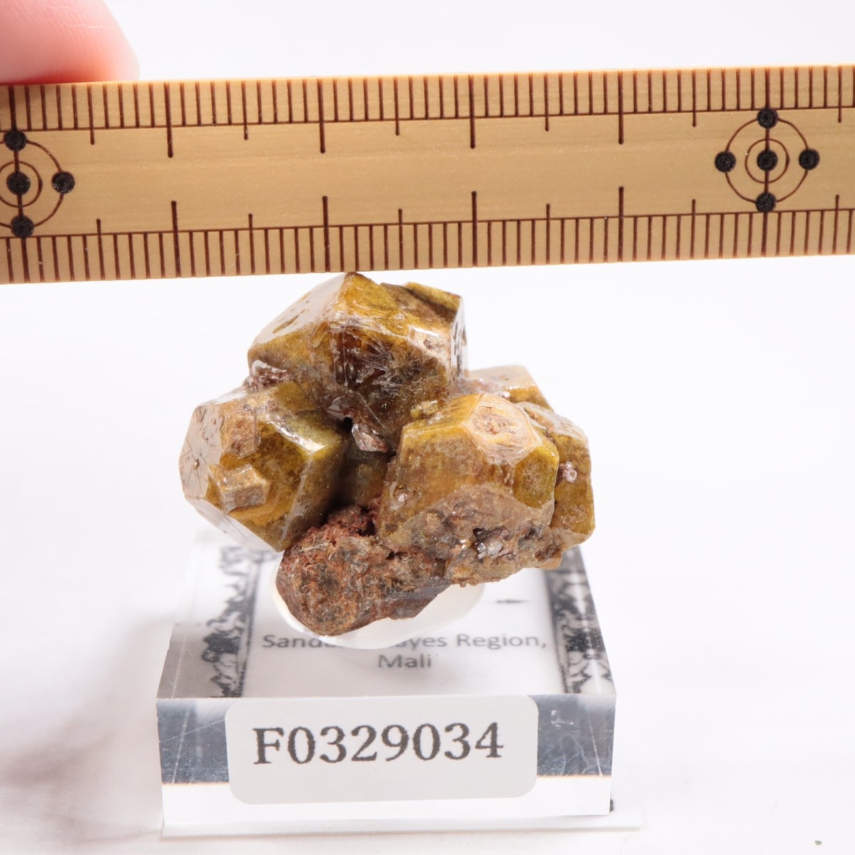 �ޥ껺 �����ͥå�