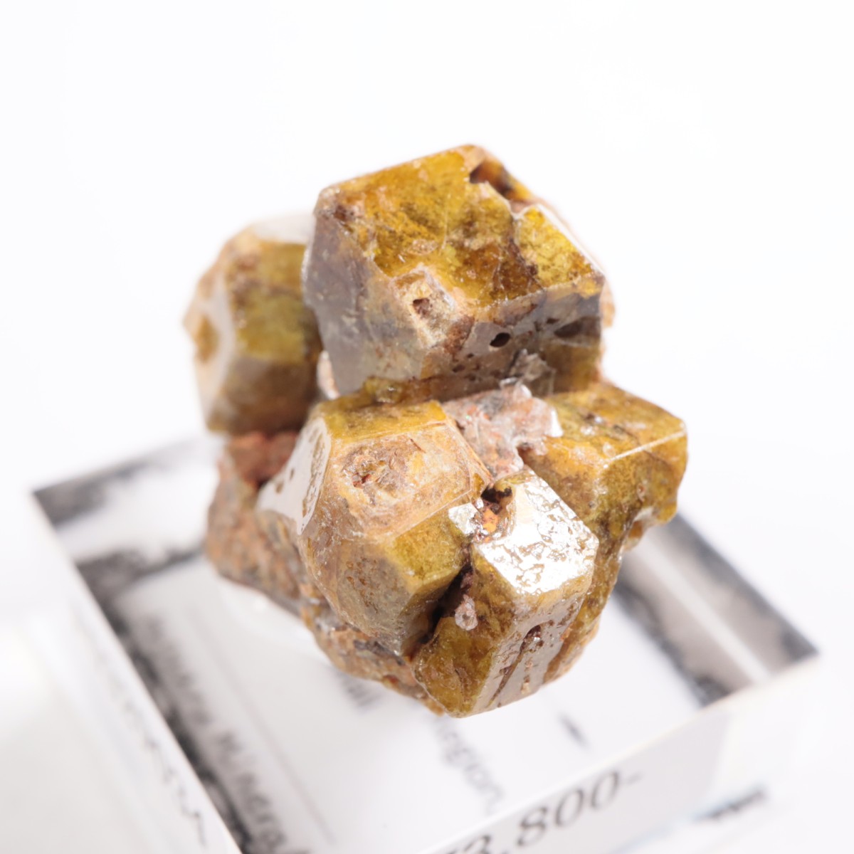 �ޥ껺 �����ͥå�