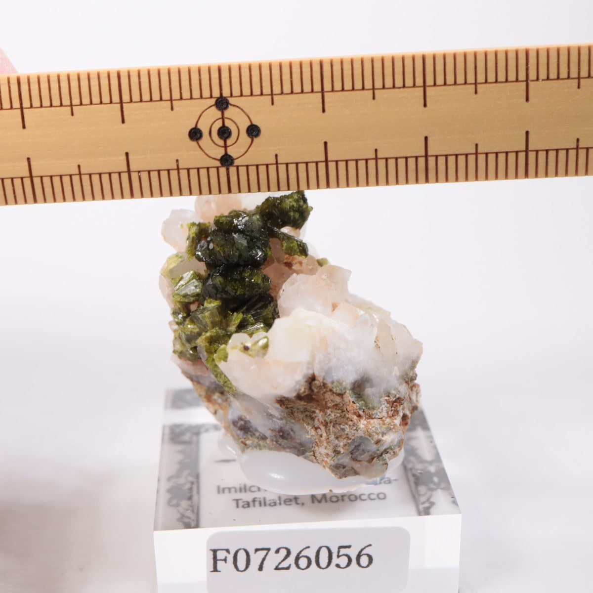 ����å��� ���ԥɡ���