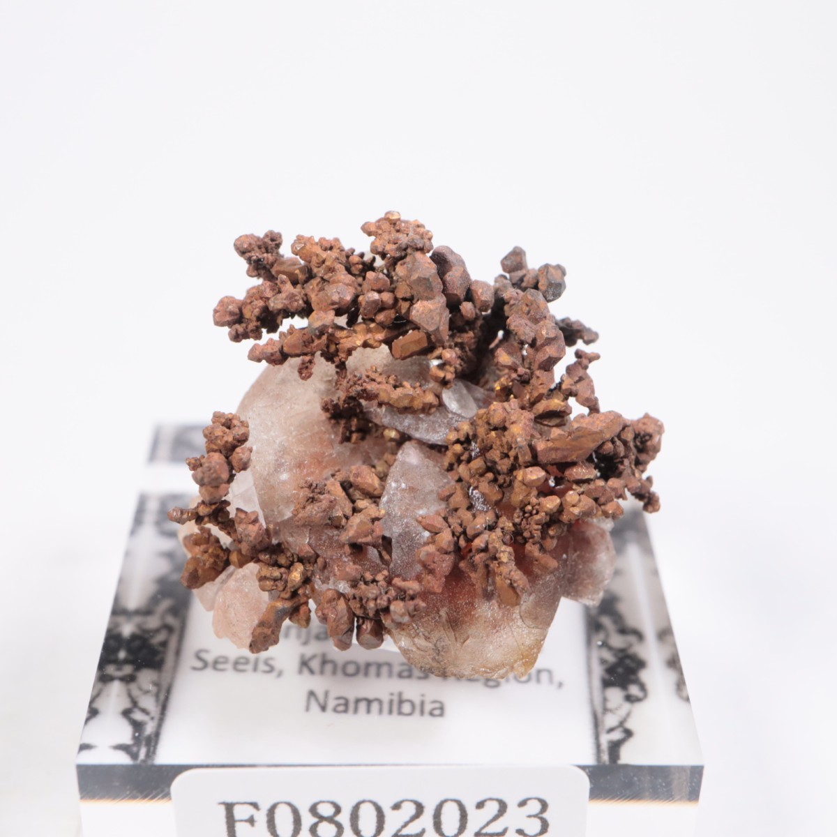 �ʥߥӥ��� ����Ƽ�����륵����