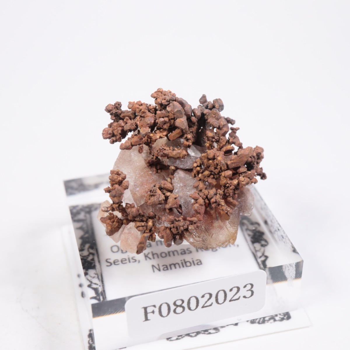 �ʥߥӥ��� ����Ƽ�����륵����