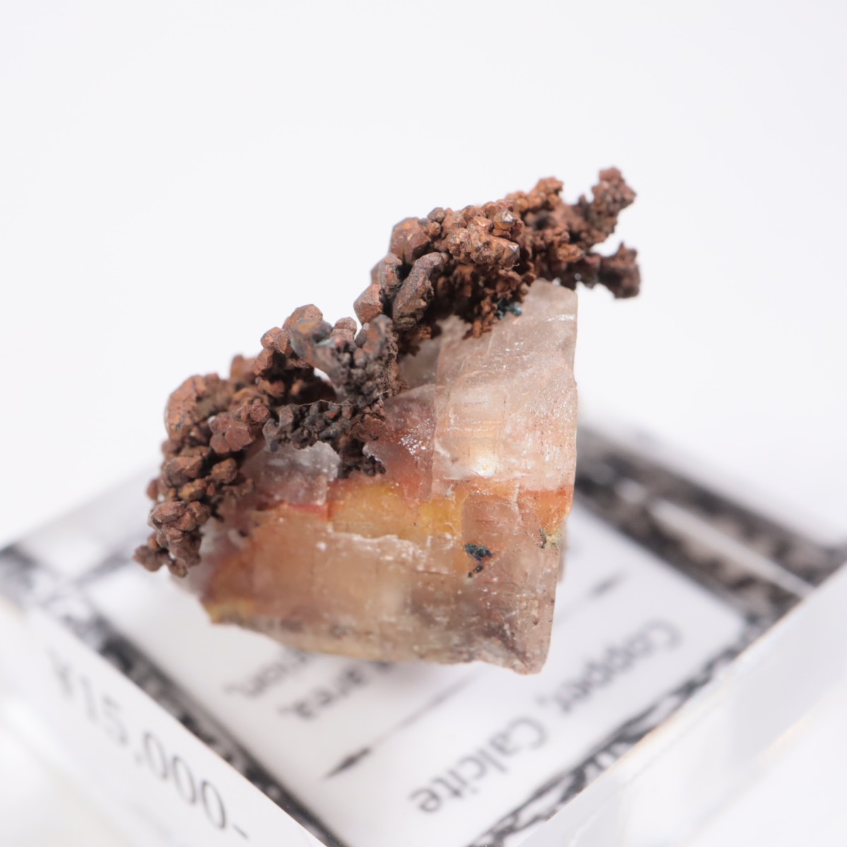 �ʥߥӥ��� ����Ƽ�����륵����