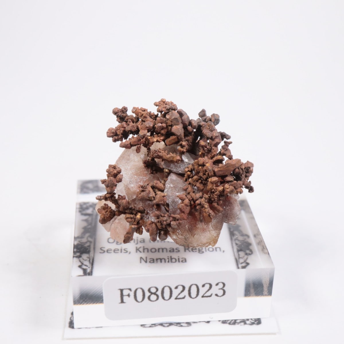 �ʥߥӥ��� ����Ƽ�����륵����