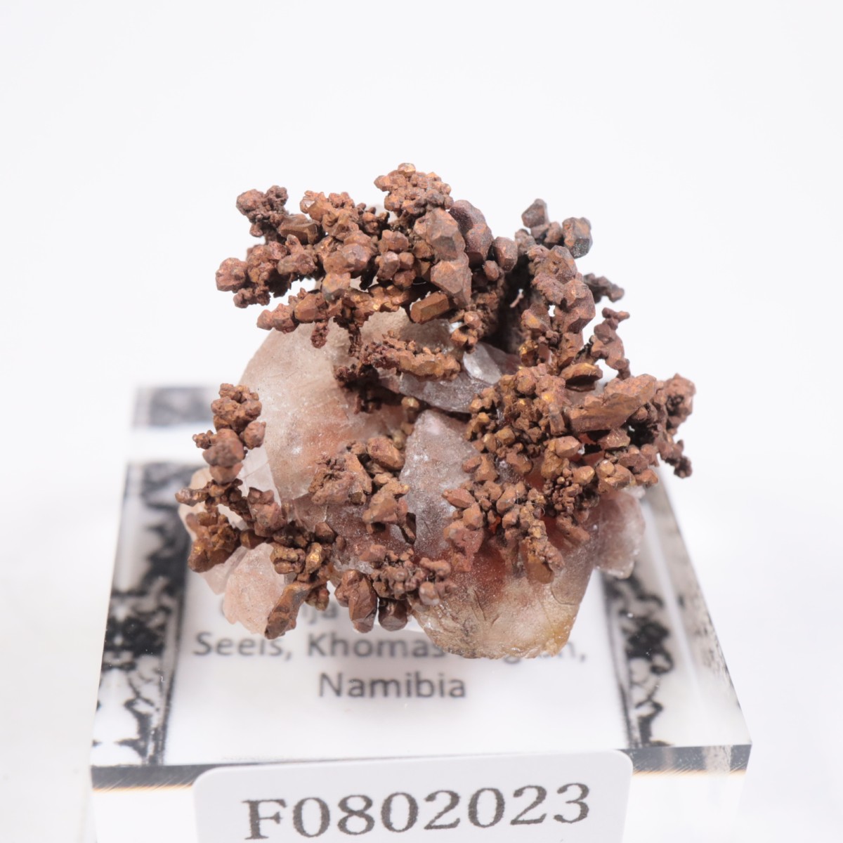 �ʥߥӥ��� ����Ƽ�����륵����