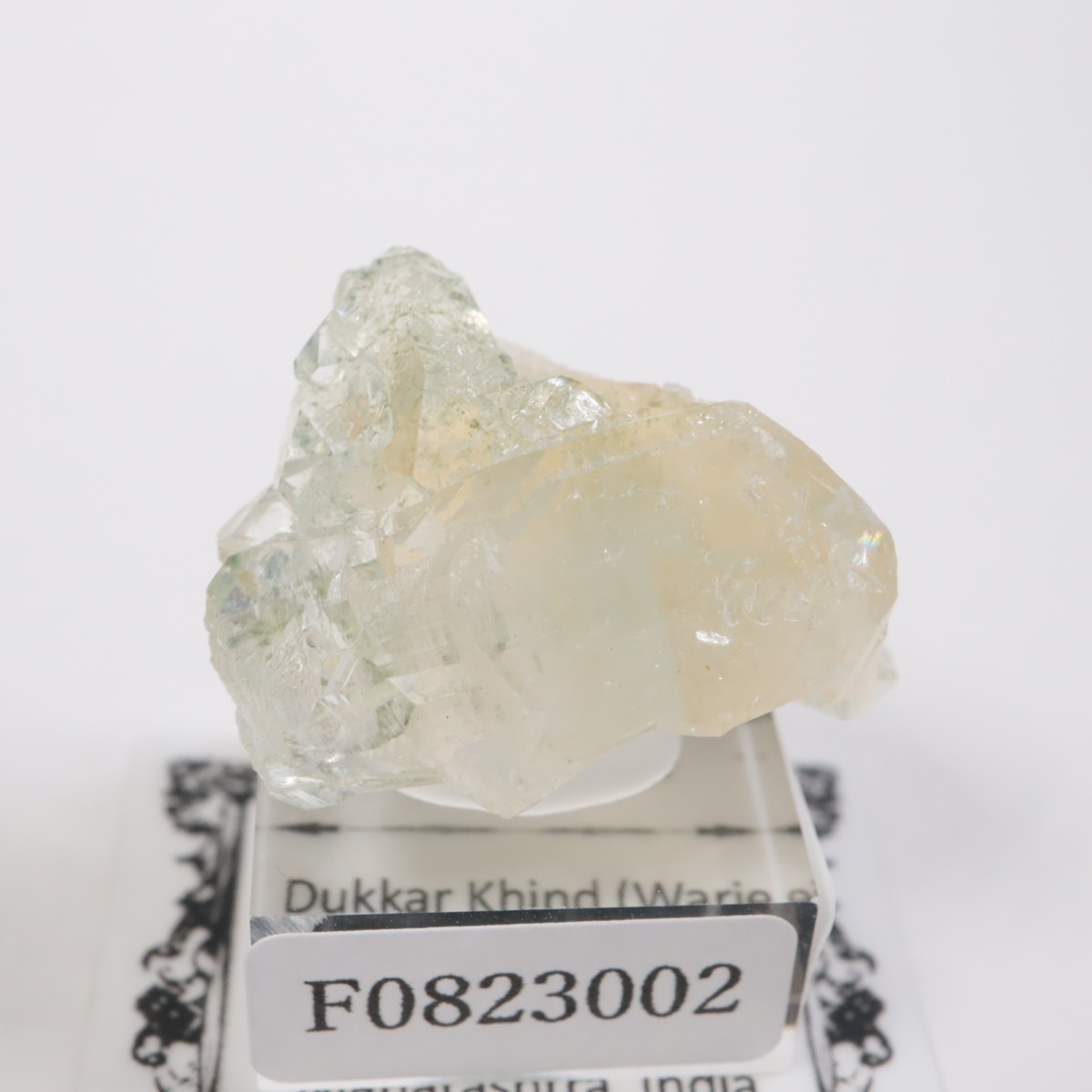 ����ɻ� ���ݥե��饤��