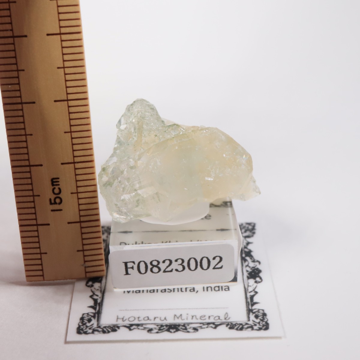 ����ɻ� ���ݥե��饤��