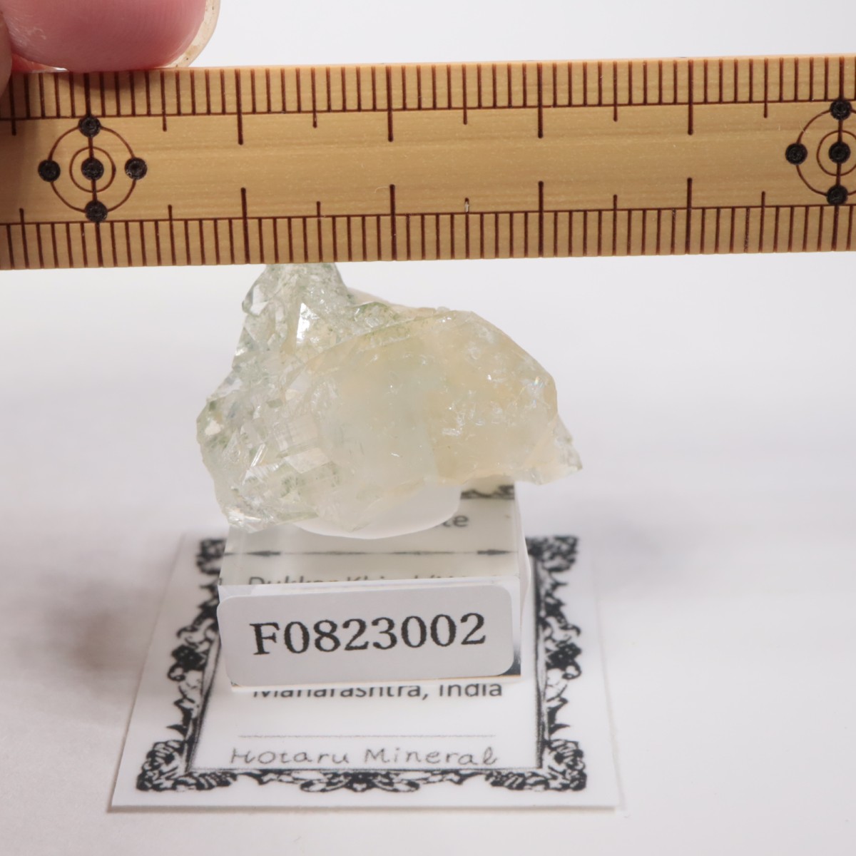 ����ɻ� ���ݥե��饤��