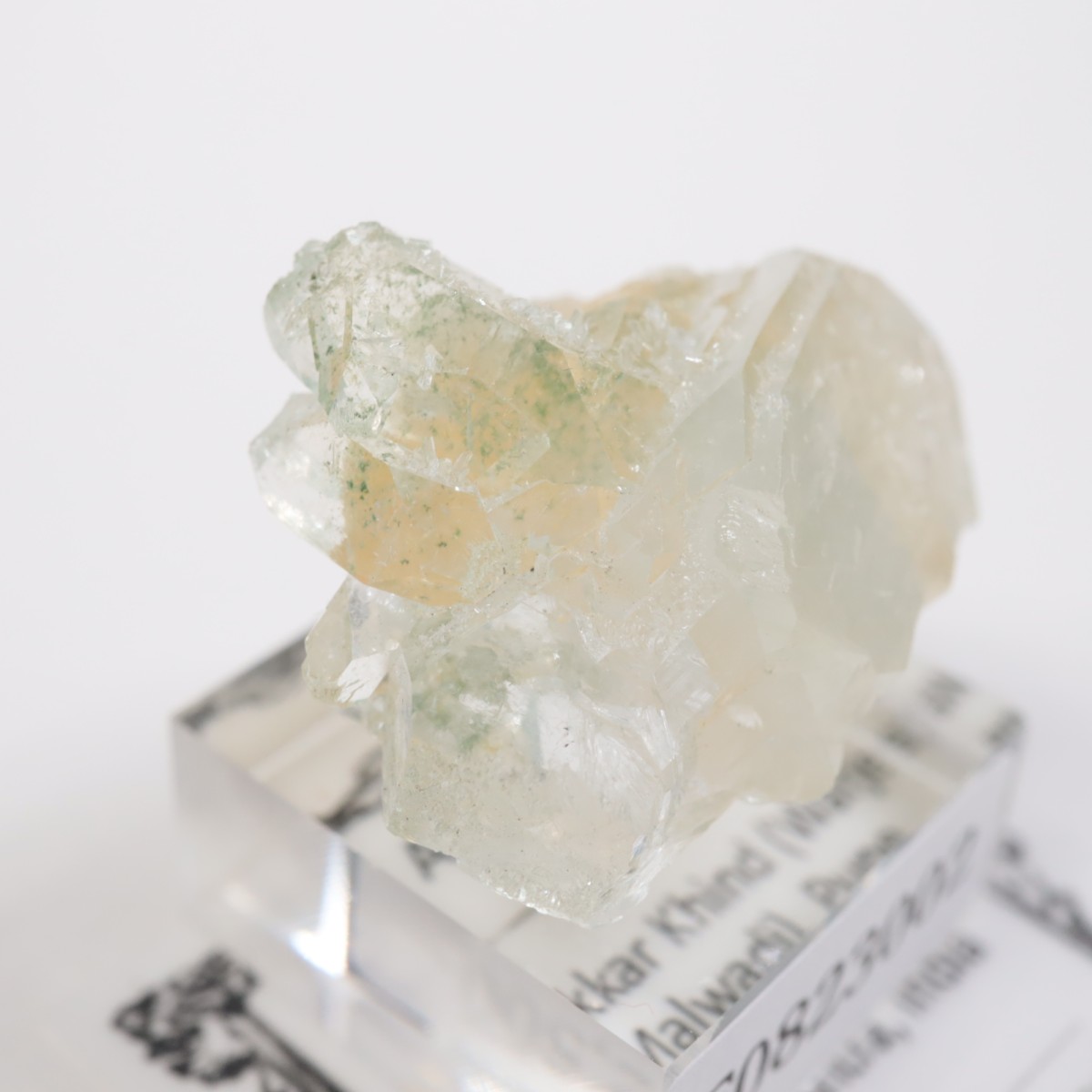 ����ɻ� ���ݥե��饤��