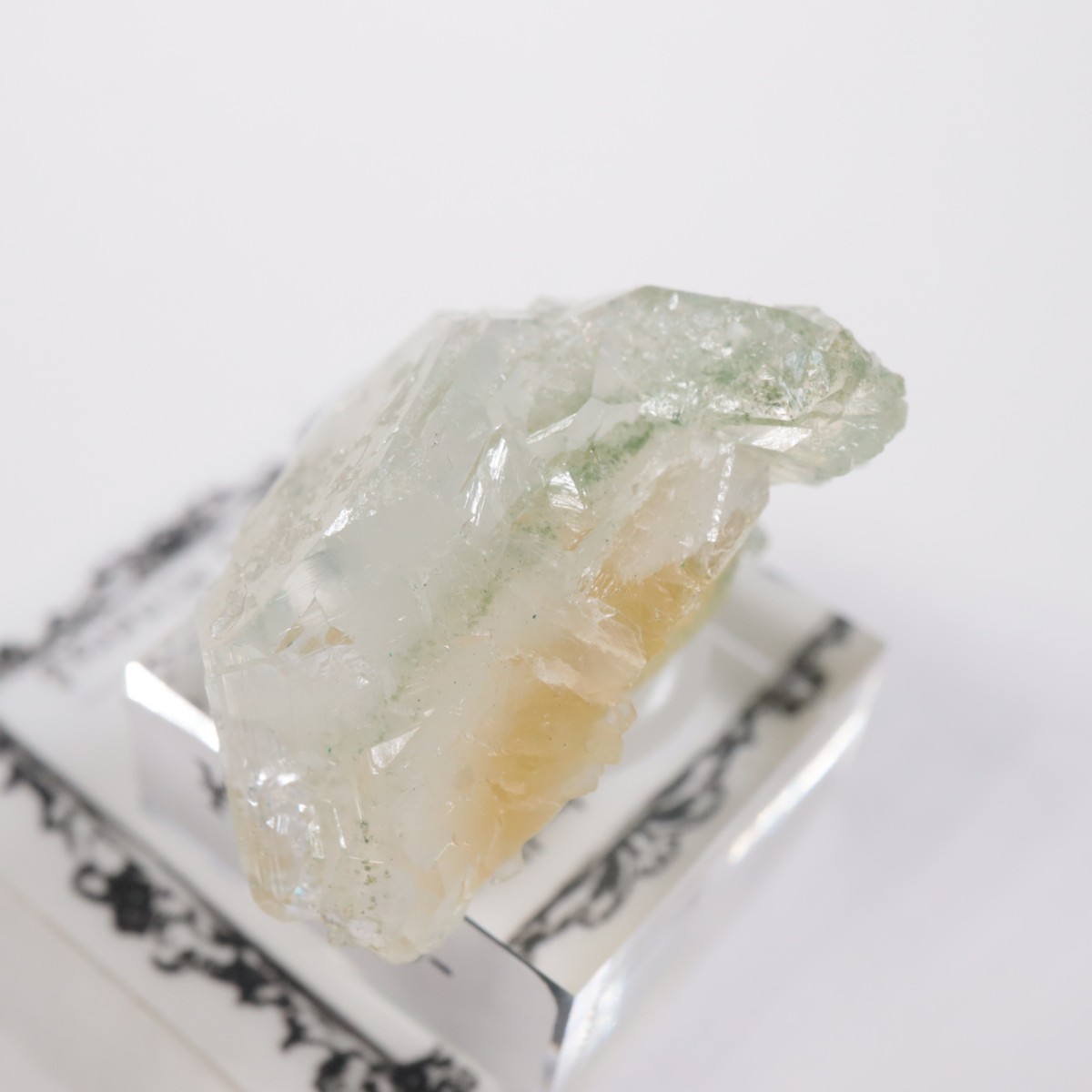 ����ɻ� ���ݥե��饤��