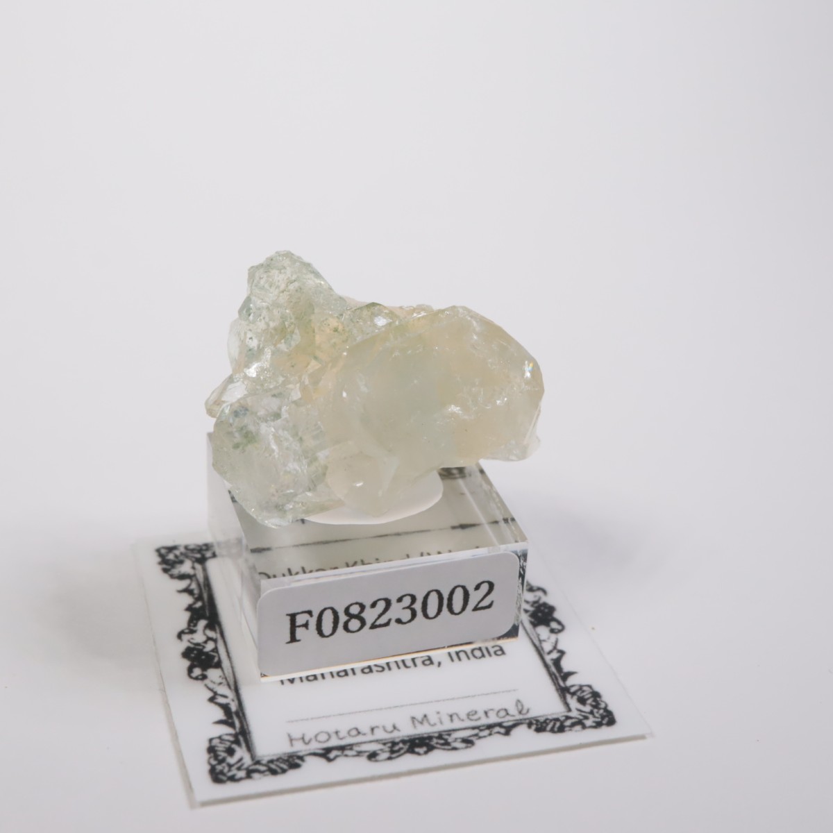 ����ɻ� ���ݥե��饤��