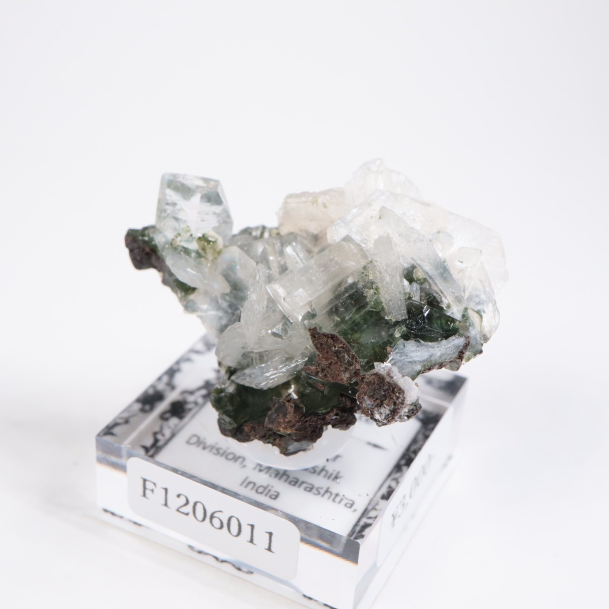 ����ɻ� ���ݥե��饤��