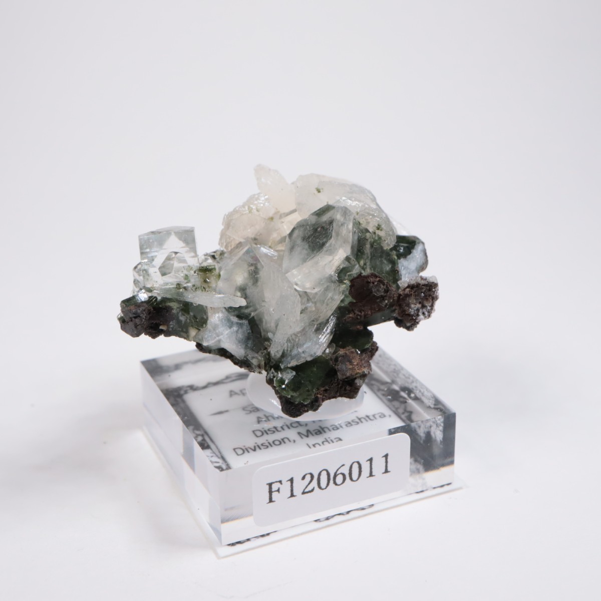 ����ɻ� ���ݥե��饤��