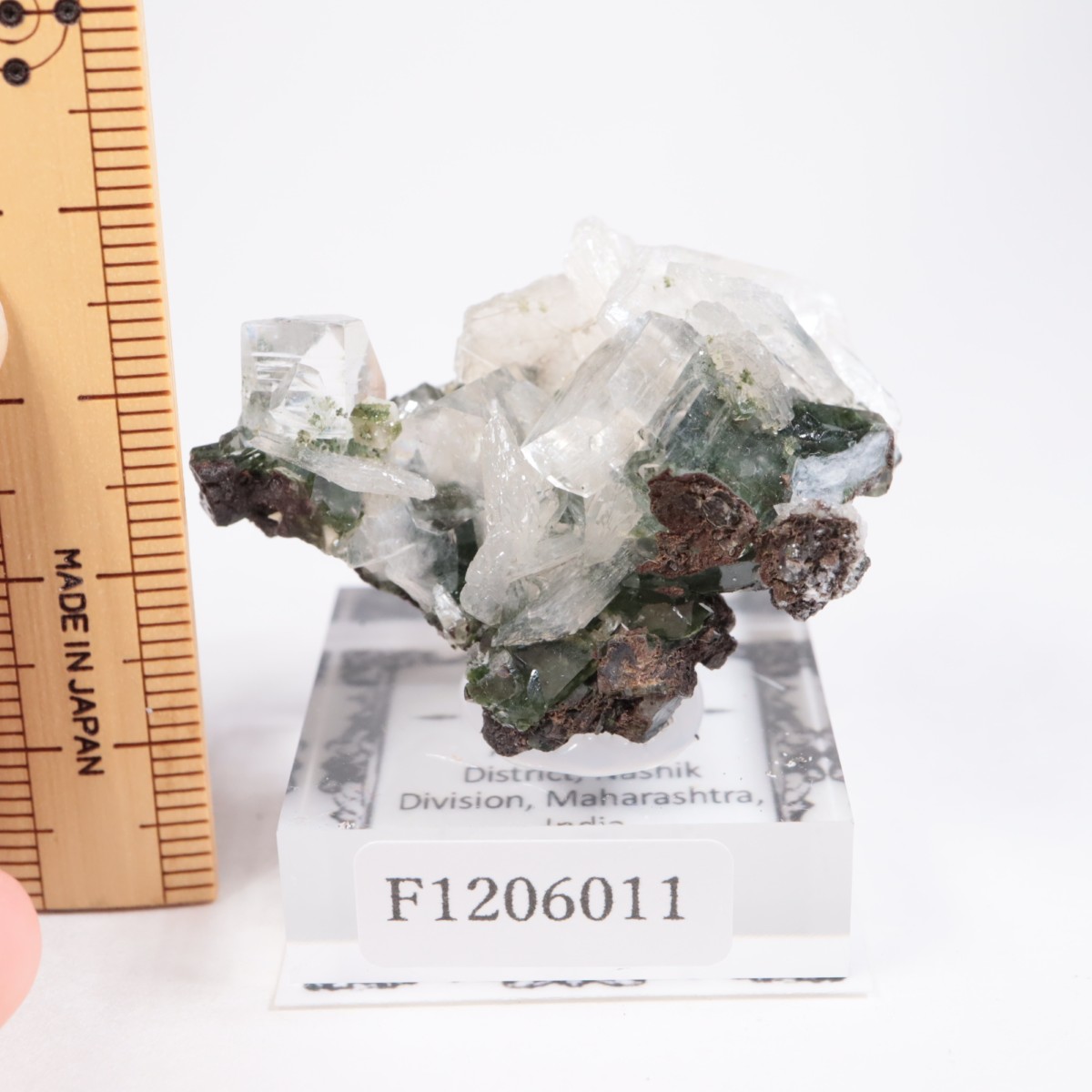 ����ɻ� ���ݥե��饤��