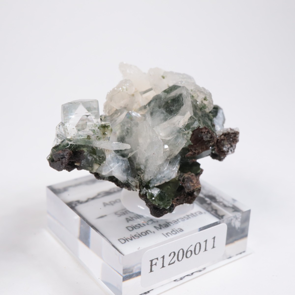 ����ɻ� ���ݥե��饤��