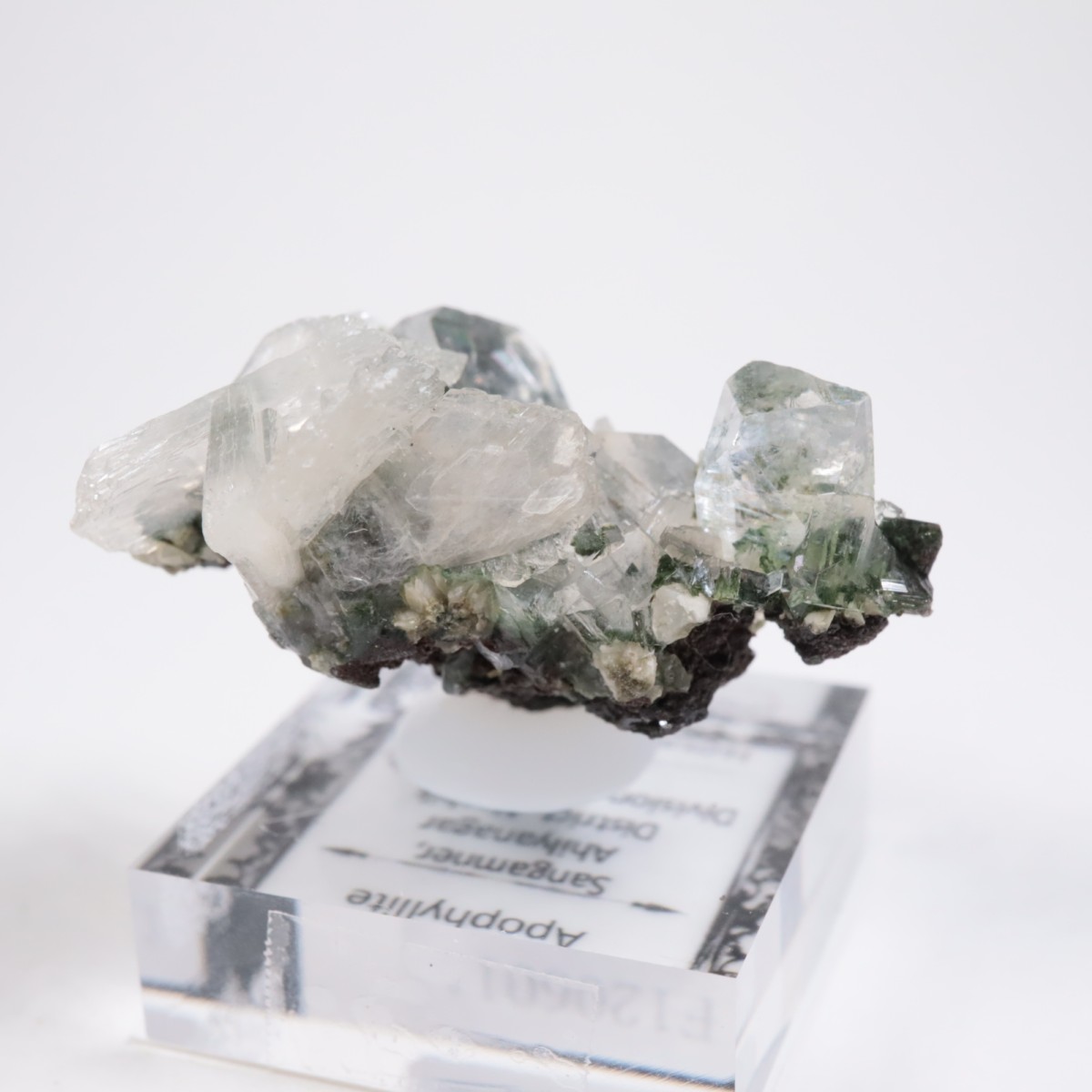 ����ɻ� ���ݥե��饤��