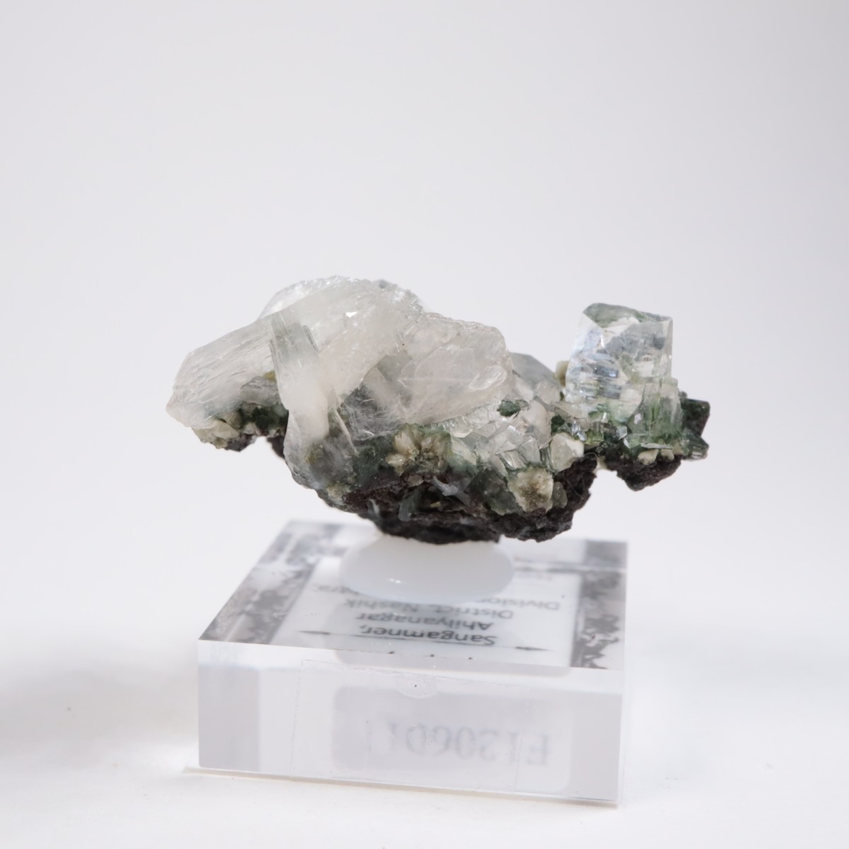 ����ɻ� ���ݥե��饤��