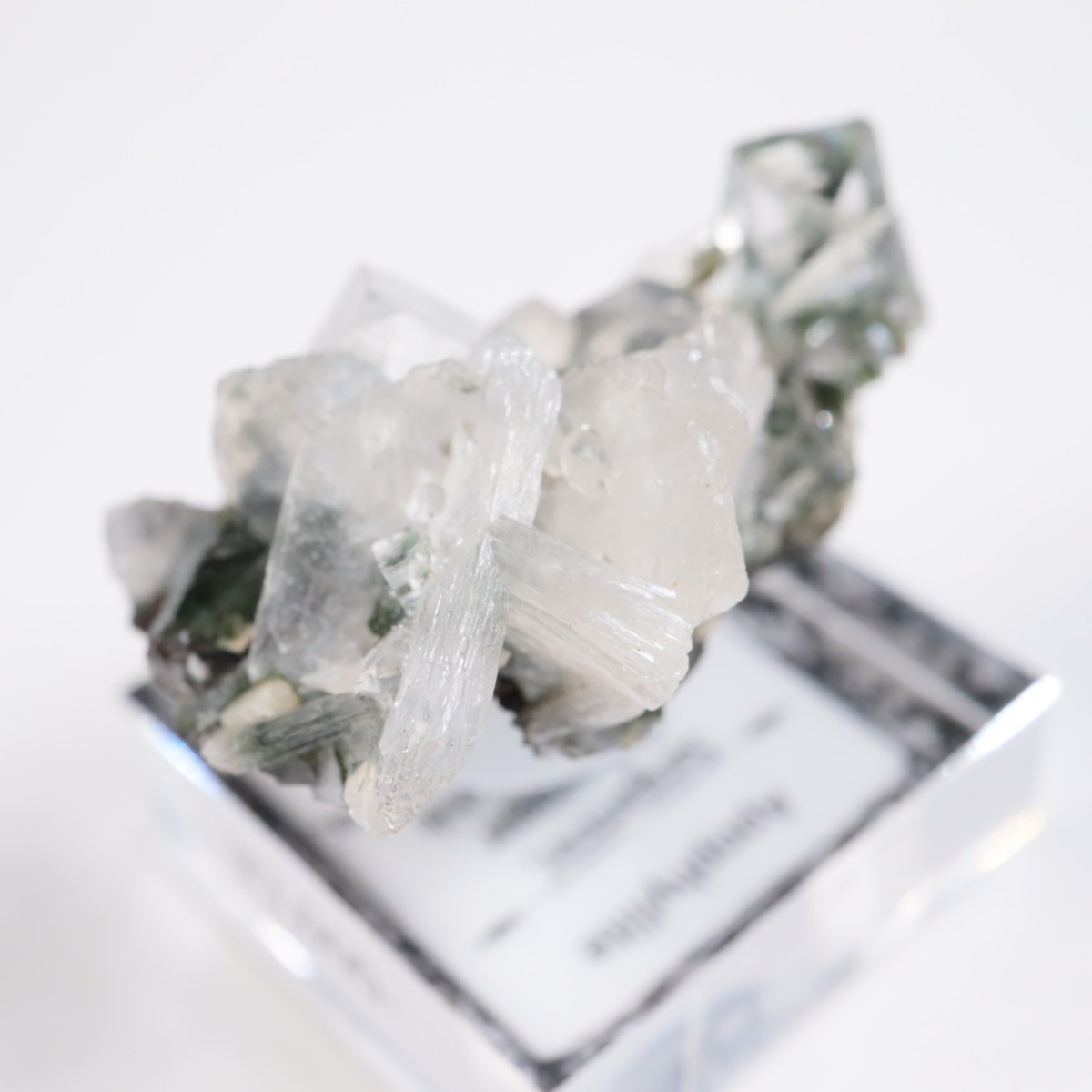 ����ɻ� ���ݥե��饤��