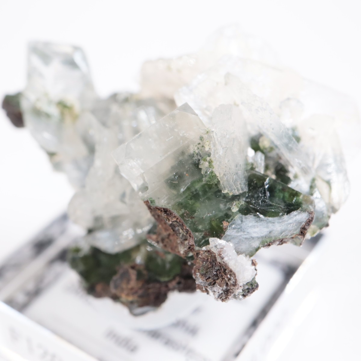 ����ɻ� ���ݥե��饤��