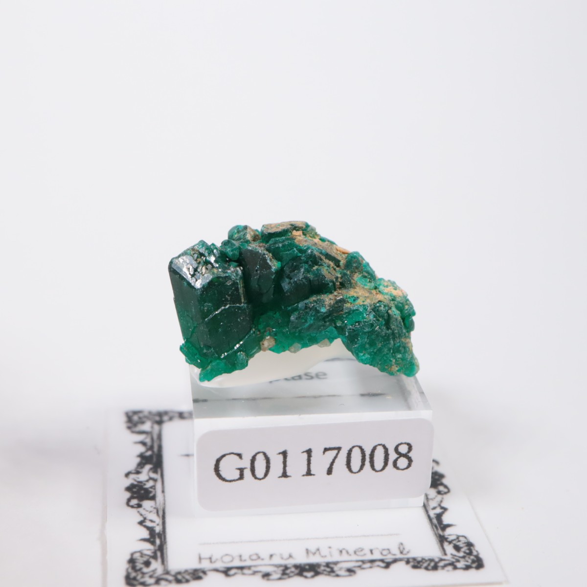 ���󥴻� �������ץơ���