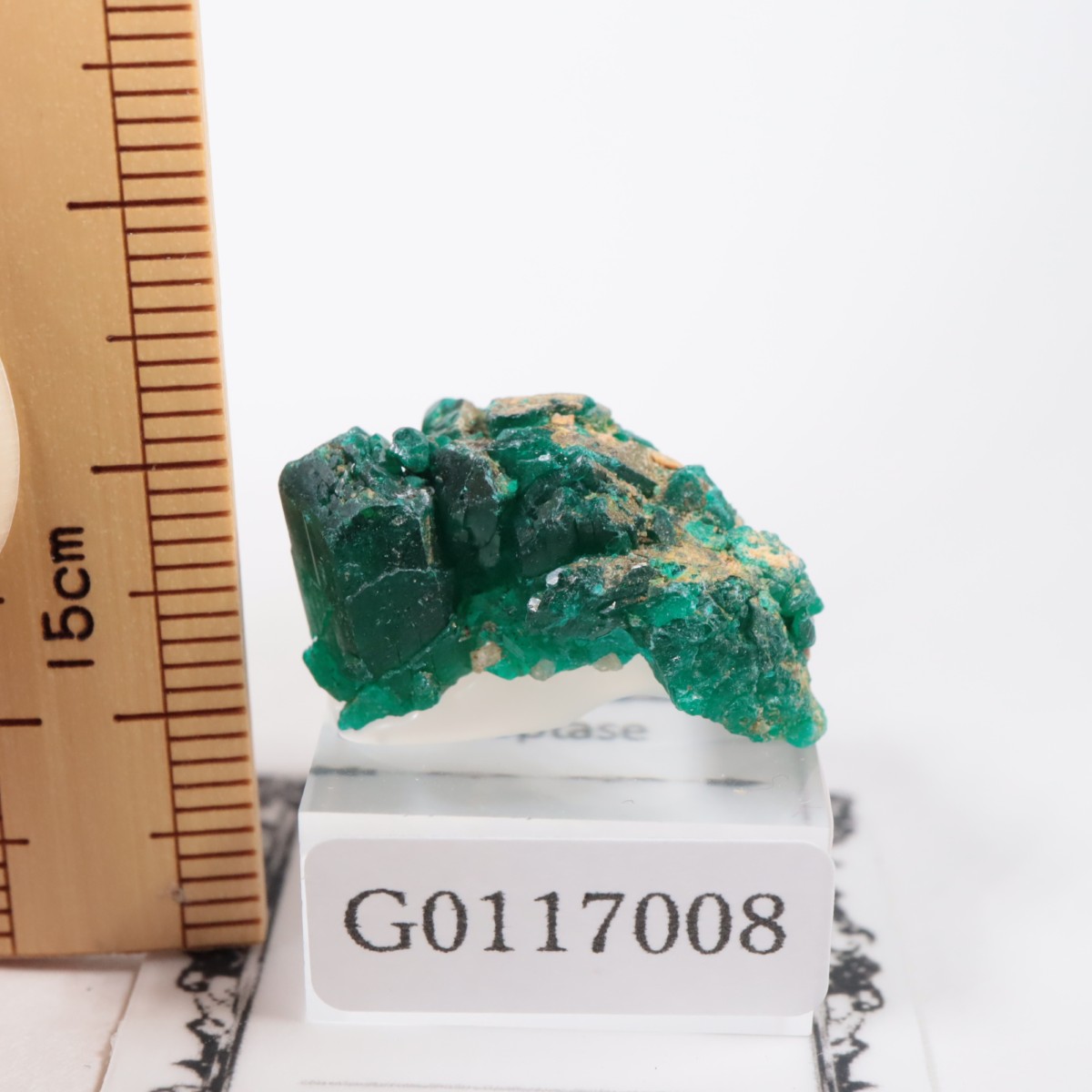 ���󥴻� �������ץơ���